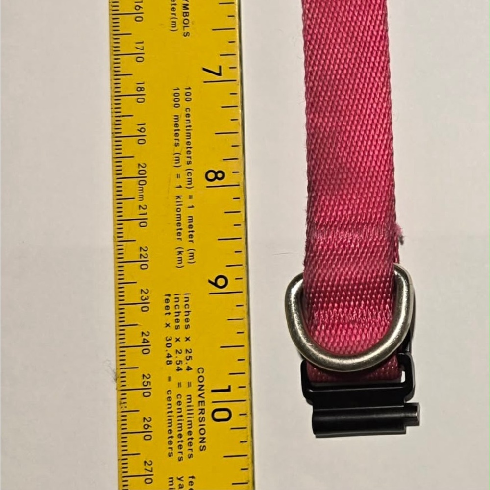 Fi Series 3+ GPS Collar